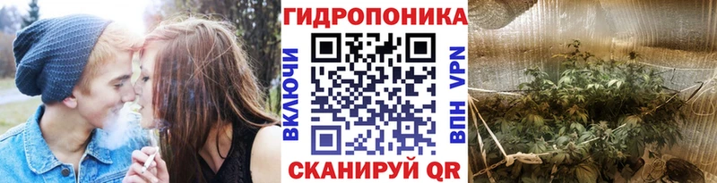 Все наркотики Гудермес Alpha PVP  Бутират  ОМГ ОМГ как зайти  ГАШ  Мефедрон  Канабис  АМФЕТАМИН 