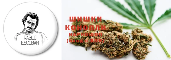 тгк Вяземский