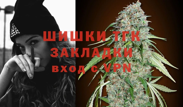 тгк Вяземский