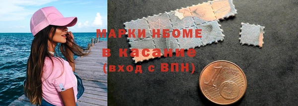 молекула духа Вязьма