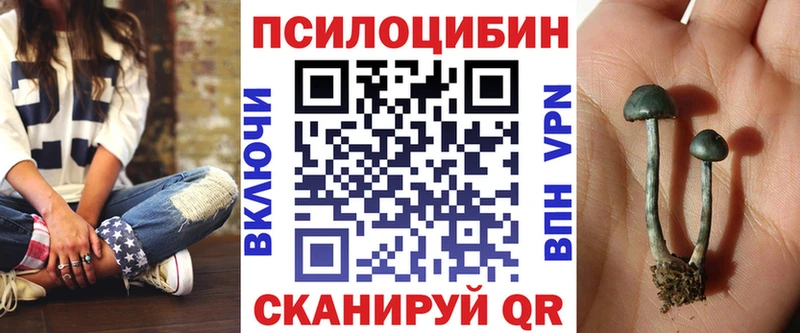 где купить наркотик Гудермес Псилоцибиновые грибы ЛСД