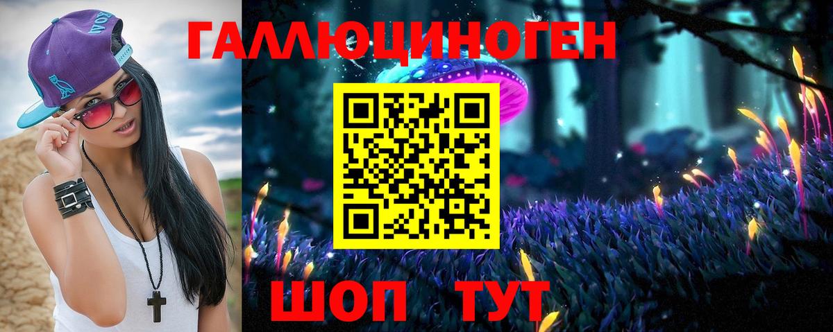 Псилоцибиновые грибы Psilocybe Гудермес