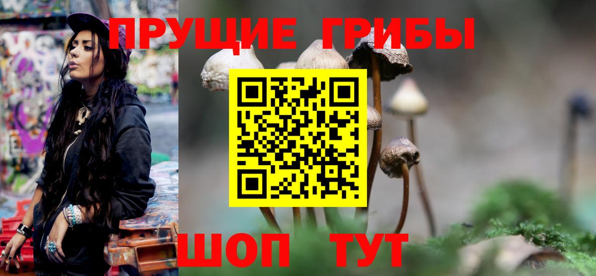 Гудермес  Псилоцибиновые грибы MAGIC MUSHROOMS  Вход с VPN 
