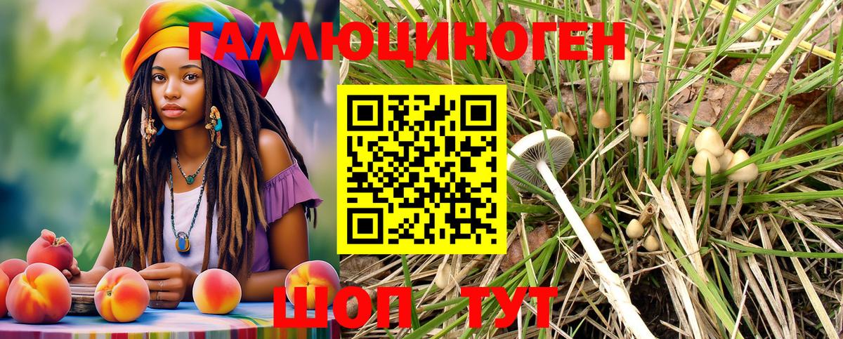 Псилоцибиновые грибы MAGIC MUSHROOMS  Гудермес 