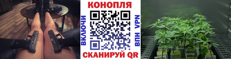 Бошки Шишки план что такое Гудермес