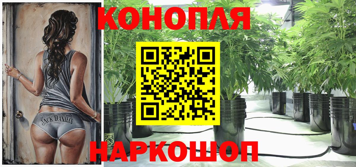 Шишки марихуана тримм Гудермес