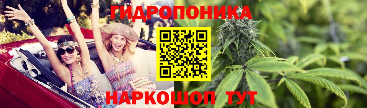 Марихуана LSD WEED  МАРИХУАНА OG Kush  Марихуана Ganja  Канабис планчик  Гудермес 